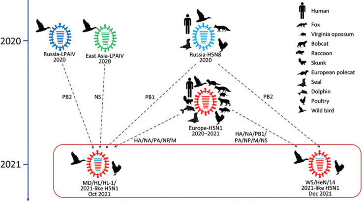 H5N1 Pandemic, An Urgent Threat