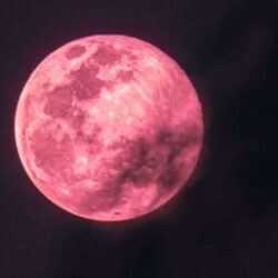 Pink Moon April 2024, A Celestial Spectacle Not to Be Missed