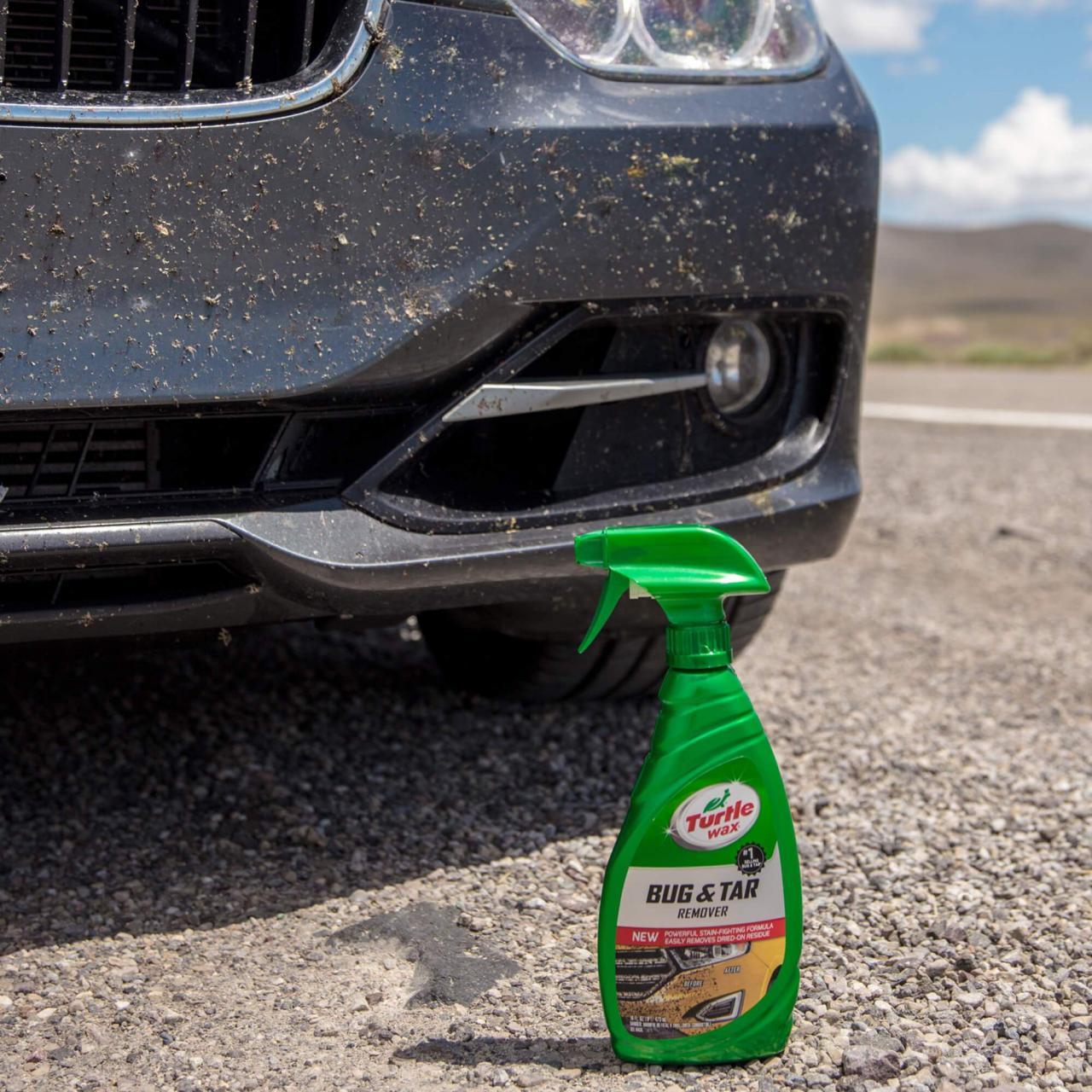How to Get Bug Stains Off Your Car, A Comprehensive Guide