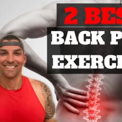 Exercises to Relieve Lower Back Pain, A Comprehensive Guide to Alleviation