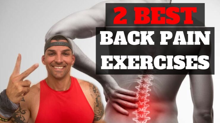 Exercises to Relieve Lower Back Pain, A Comprehensive Guide to Alleviation